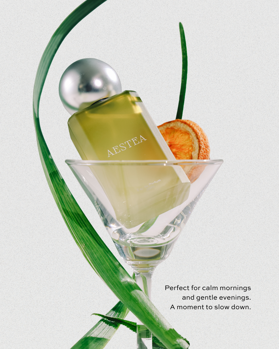 AESTEA EDP