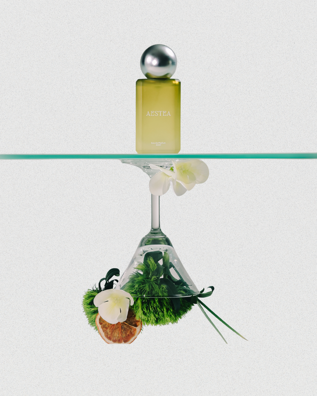 AESTEA EDP